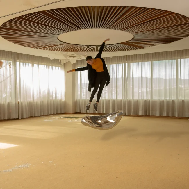 PALMADANSA